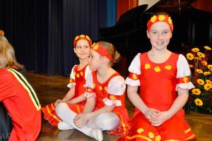 Osrednja_proslava_kultura_OL_2017 33 of 87